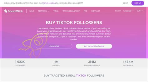 socialwick tiktok|Buy TikTok Followers, Likes & Views 